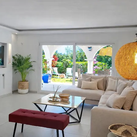 Noctua Paraiso Calendula 010 Εστεπόνα