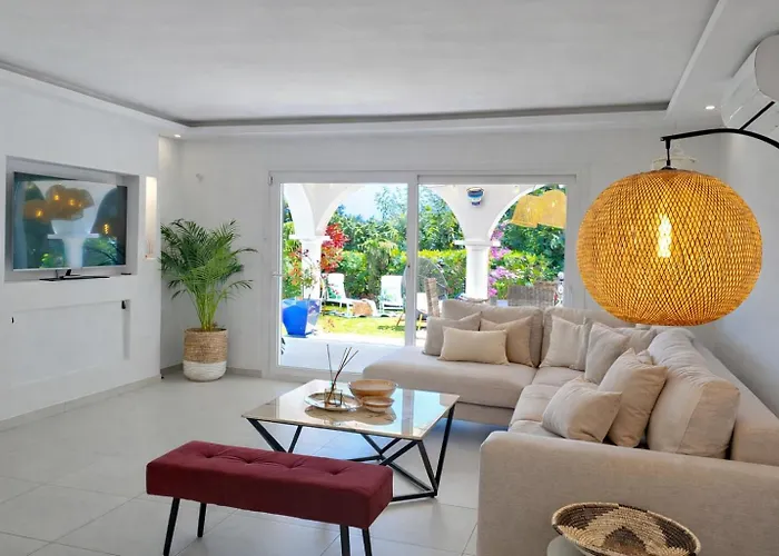 Noctua Paraiso Calendula 010 Estepona