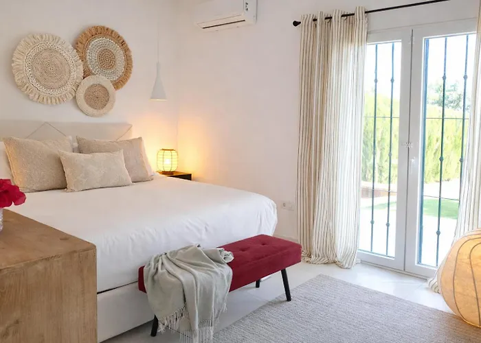 Noctua Paraiso Calendula 010