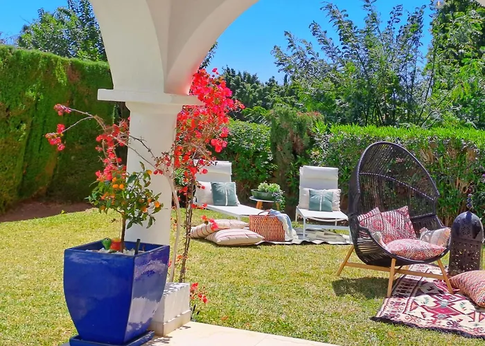 Noctua Paraiso Calendula 010